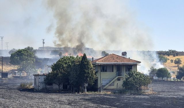 Beş dönüm buğday tarlası hasar gördü