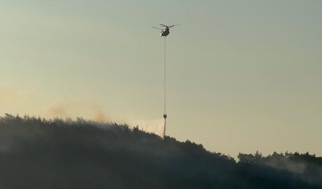 Kırkağaç'ta çıkan orman yangınına müdahale ediliyor