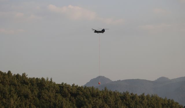 Ormandaki yangın, kısmen kontrol altına alındı