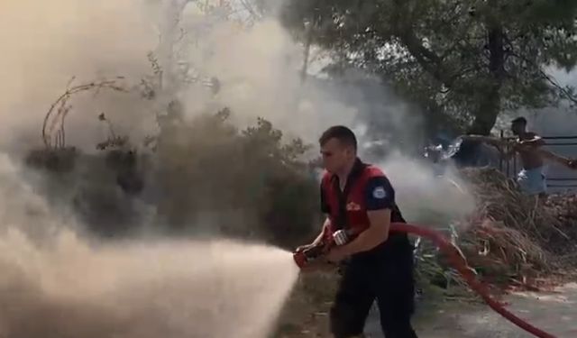 Otluk alanda çıkan yangın söndürüldü