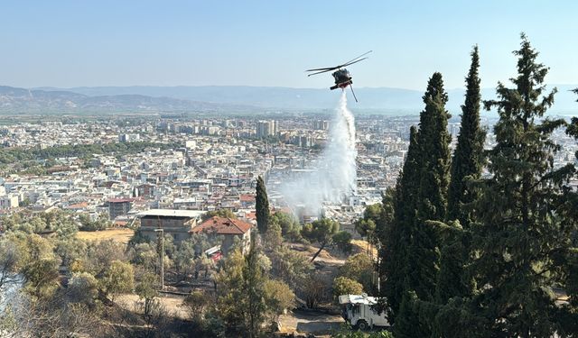 Otluk ve zeytinlik alanda çıkan yangın söndürüldü