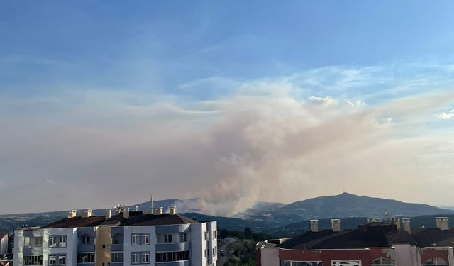 Uşak'taki orman yangınına müdahale ediliyor