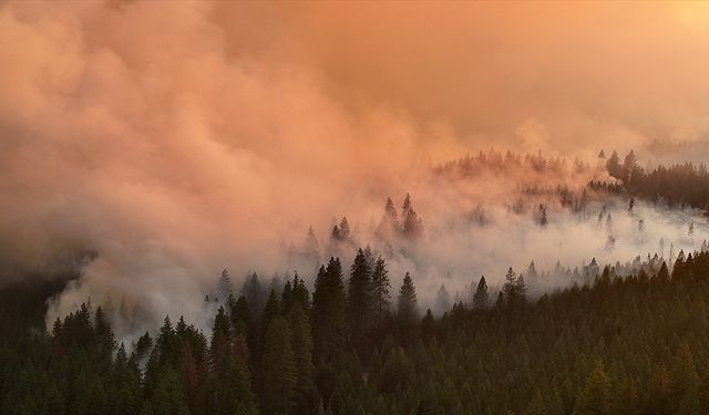 Yangının etkilediği alan, Los Angeles'tan büyük