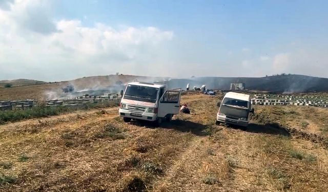 Anız yangını, arı kovanlarına zarar verdi