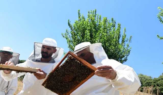 Bornovalı arıcılara yerinde destek