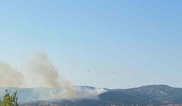 Çanakkale’de orman yangını