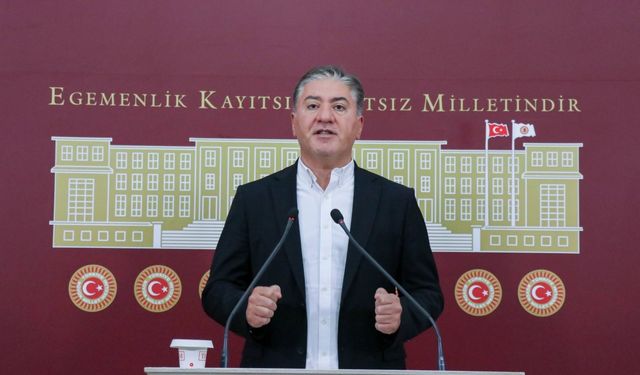 CHP, Giresun'da fındık mitingi yapacak