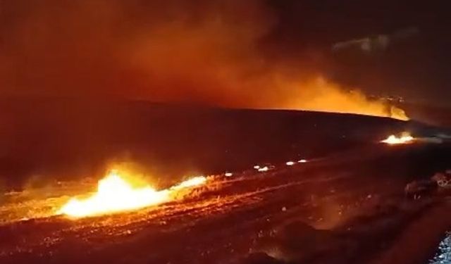 Diyarbakır'da anız yangını, 6 saatte söndürüldü