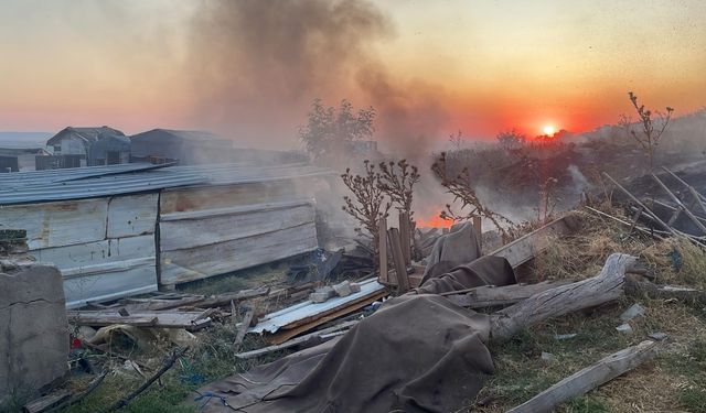 Edirne'de otluk alanda yangın; polis ağaç dallarıyla müdahale etti