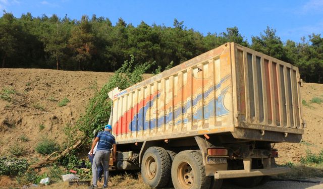 Freni boşalan kamyon, yol kenarındaki ağaçlara çarparak durabildi