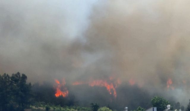 Hatay’da korkutan orman yangını