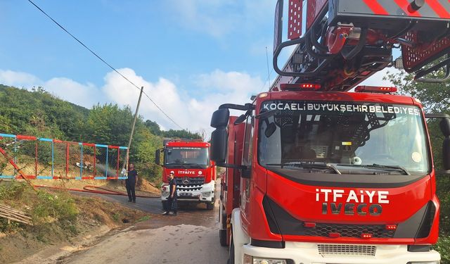 İzmit'te ahır yangını; 13 hayvan öldü