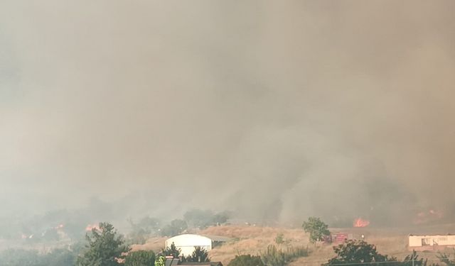 İznik'te orman yangını