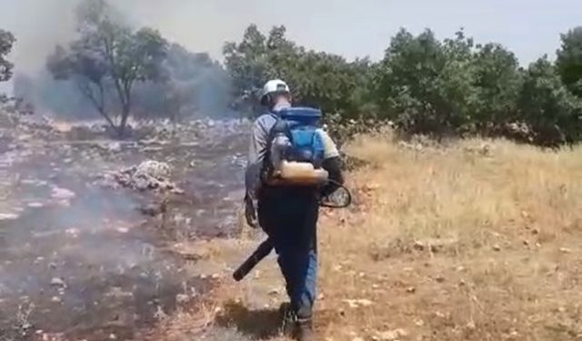 Mardin'de örtü yangını