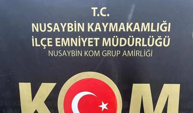 Mardin'de silah ve uyuşturucu operasyonlarında 6 gözaltı