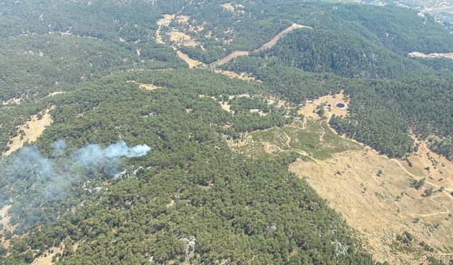 Muğla'da yıldırım düşmesiyle 11 noktada orman yangını çıktı