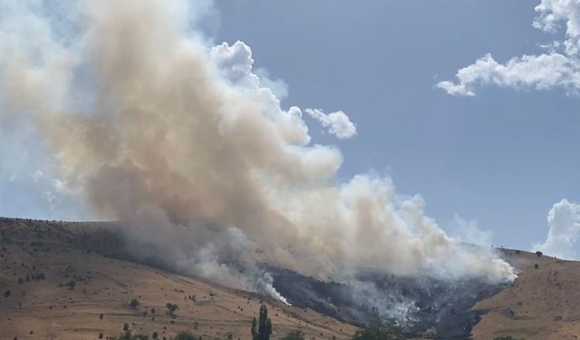 Muş'ta ot yangını, 2 saatte söndürüldü