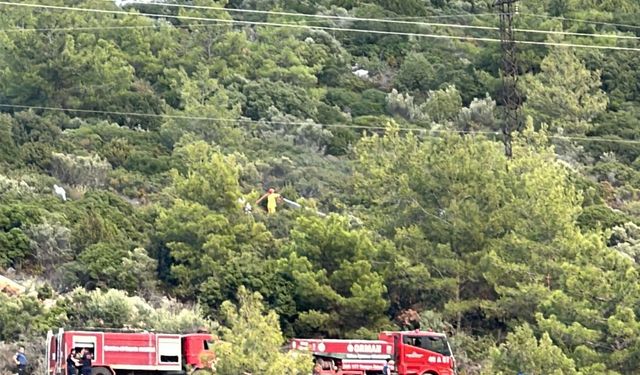 Ormanda çıkan yangın, büyümeden söndürüldü