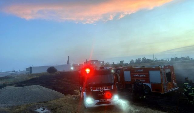 TIR'da çıkan yangın tarım arazisine sıçradı