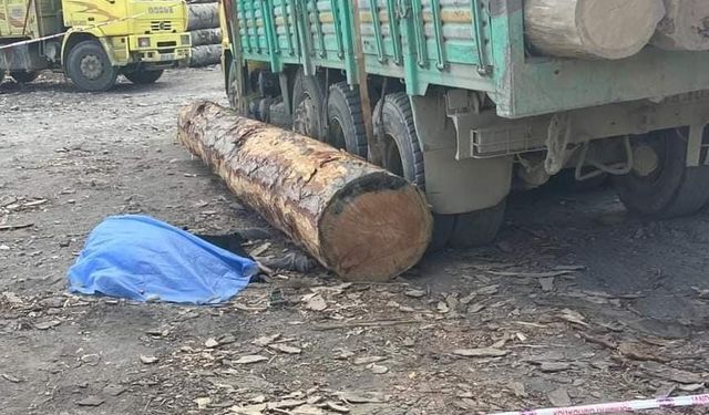 Tomruğun altında kalan işçi öldü