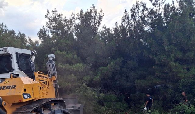 Yıldırım düşmesi ile çıkan orman yangını söndürüldü