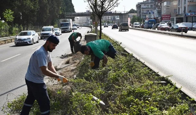 Orta refüjlere kapsamlı temizlik