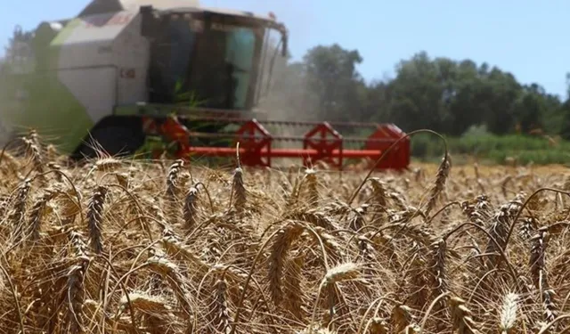 Bakanlık: 87.5 milyon TL tarımsal destekleme ödemesi bugün yatırılıyor