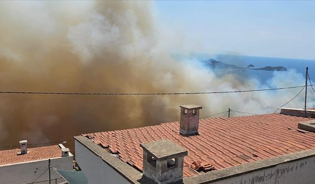 İzmir Dikili'de orman yangını: Ekipler müdahale ediyor