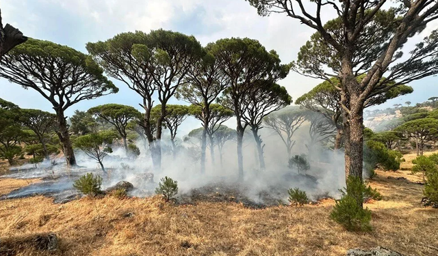 Aydın’da 7 ayrı noktada orman yangını!