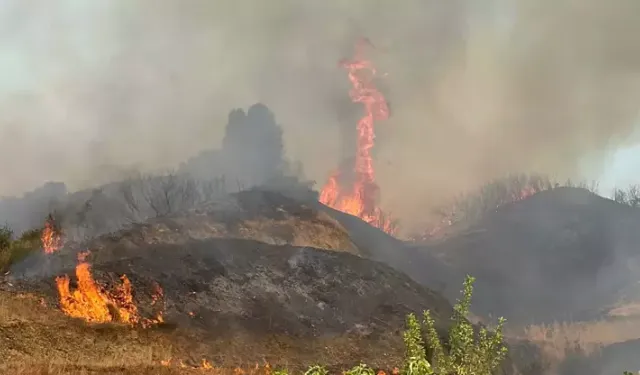 Manisa’da orman yangını: Alevler otluktan ormana sıçradı