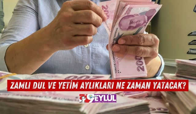 Zamlı Dul ve Yetim Aylıkları Ne Zaman Yatacak?