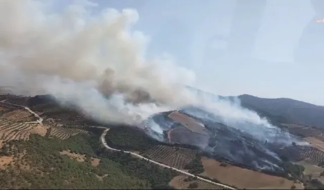 Manisa Salihli'de korkutan orman yangını