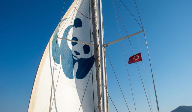 Blue Panda yelkenlisi Datça'da