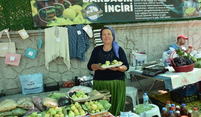 Bardacık inciri festival alanındaki tezgahlarda yerini aldı