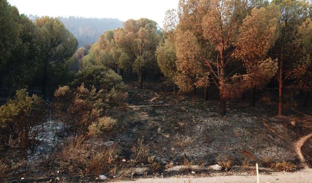 İzmir'deki yangın felaketinde 3’üncü gün; acı tablo gün ağarınca ortaya çıktı