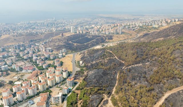 Acı tablo, gün ağarınca ortaya çıktı