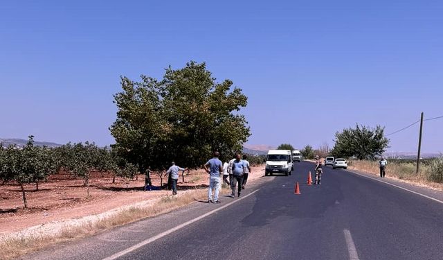 Fıstık bahçesinde cesedi bulundu