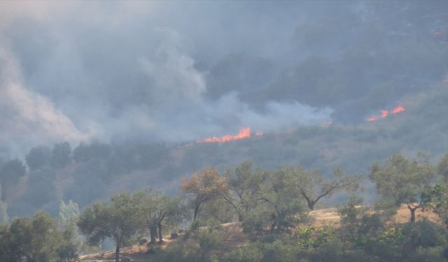 İlk 6 ayda 1418 orman yangını çıktı, 17 bin 316 deprem oldu, 28 çığ düştü