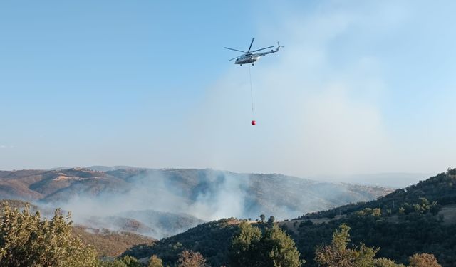 İki noktada çıkan yangınlara müdahale ediliyor