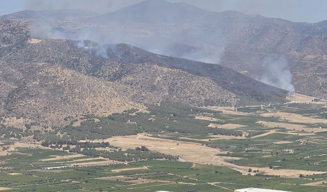 Manisa Alaşehir'de çıkan orman yangını kontrol altına alındı