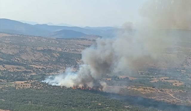 Manisa'daki orman yangınına müdahale ediliyor