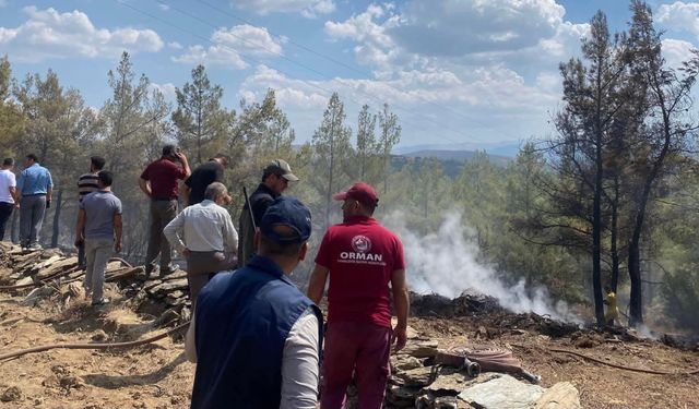 Muğla'da çıkan orman yangını söndürüldü