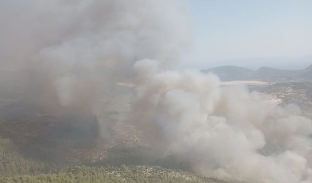 Muğla'nın Milas ilçesinde çıkan orman yangınına müdahale ediliyor