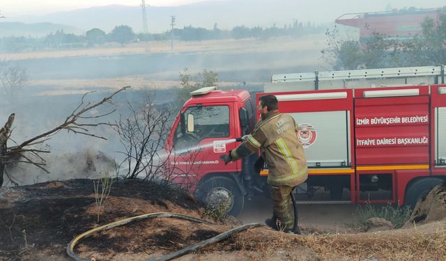 Ödemiş'teki yangında 18 dönümlük alan zarar gördü