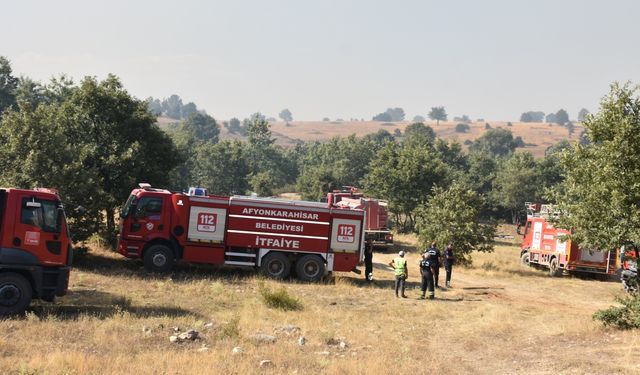 Ormanlık alanda çıkan yangına müdahale ediliyor