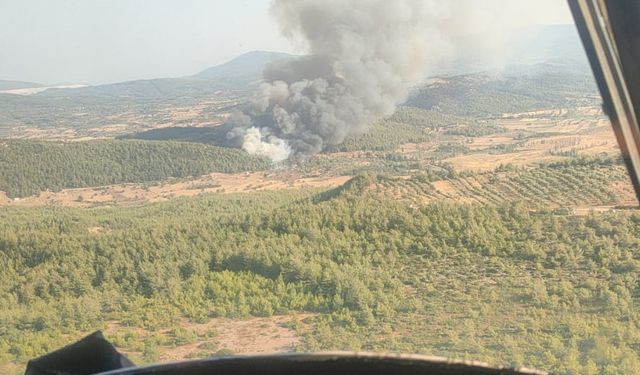 Ormanlık alandaki yangına müdahale ediliyor