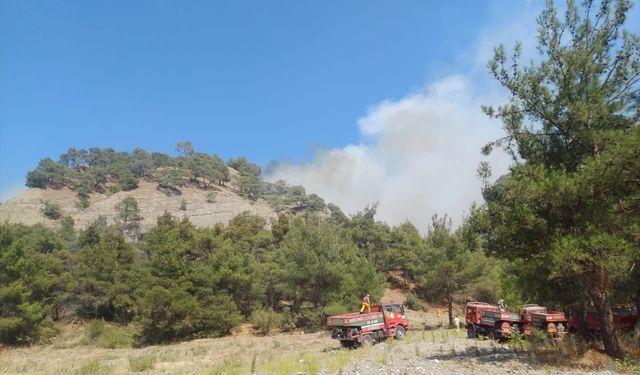 Salihli'de çıkan orman yangınına müdahale ediliyor