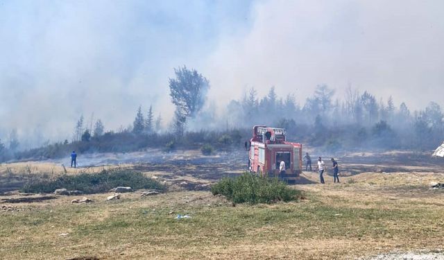 Afyonkarahisar'da orman yangını