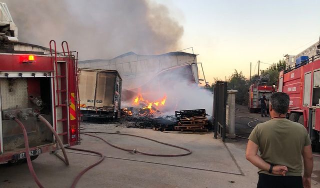 Antalya'da kağıt fabrikası yandı