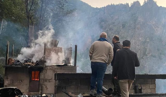 Artvin'de 3 ev, 8 samanlık ve 2 ahır yandı